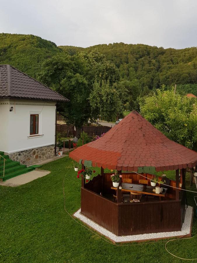 Villa La Bunicu Polovragi Exterior foto